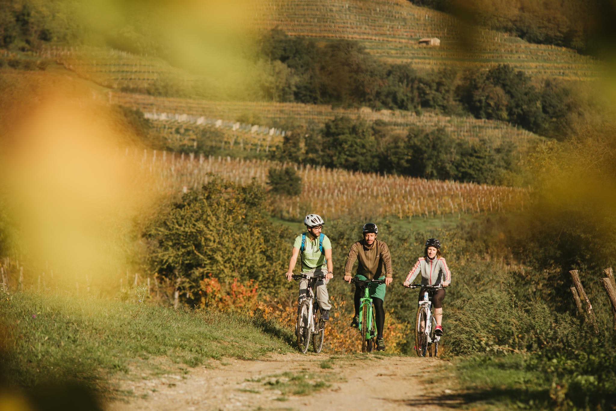 Bike, Vipava Valley